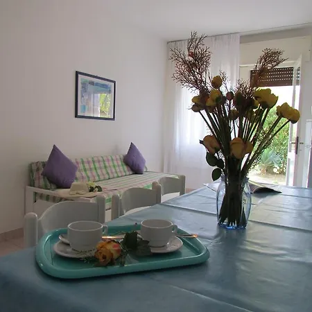 Codan & Fransi بيبيوني