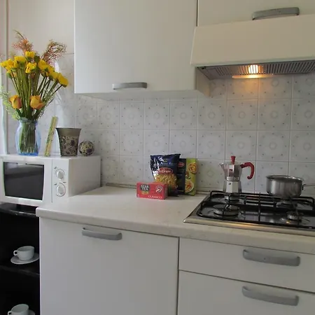 Codan & Fransi بيبيوني