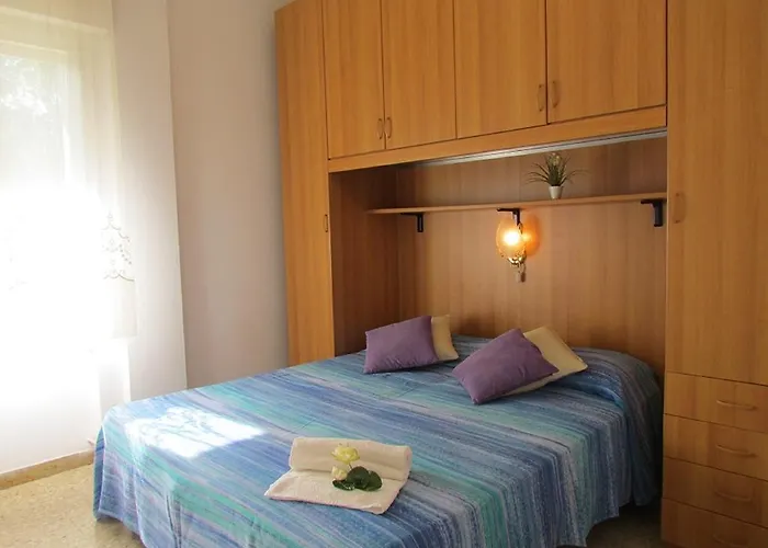 Codan & Fransi 비비오네