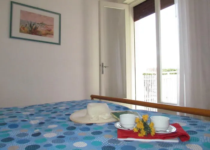 Codan & Fransi * 비비오네