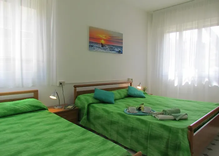 Codan & Fransi 비비오네