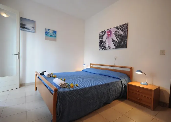 Codan & Fransi 비비오네