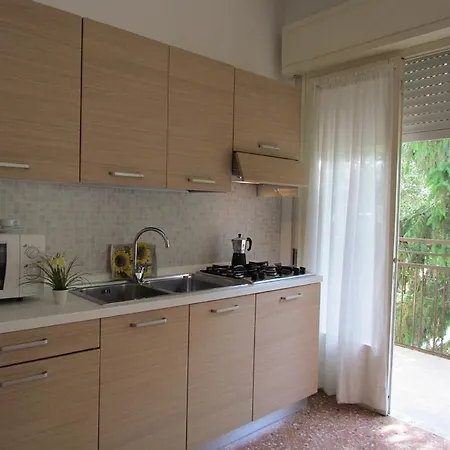 Codan & Fransi * ביביונה