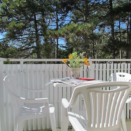 Codan & Fransi * ביביונה