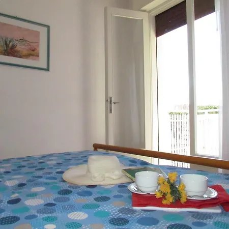 Codan & Fransi * ביביונה