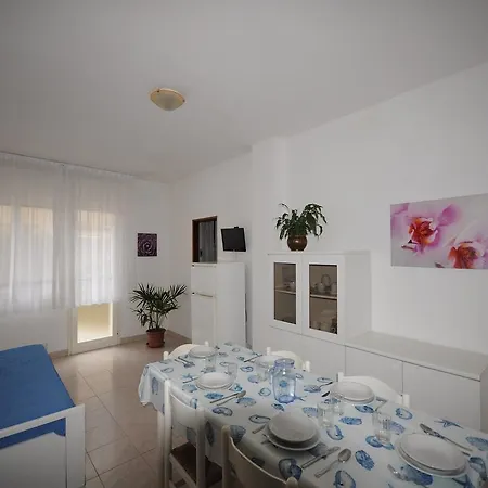 Codan & Fransi Apartment *